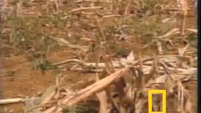 Global Warming A Way Forward Facing Climate Change - NationalGeographic.com - 24hToday.com