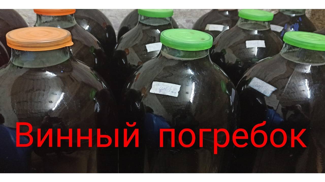 Кубань без вина, как Сахара без песка. Накрутили, навертели. Где-то я это уже видела!? смотреть онлайн