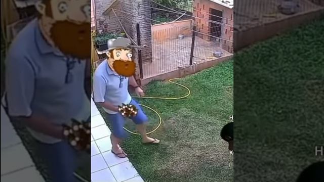 pvz#пвз#дейв#взрыв смотреть онлайн