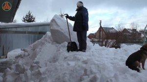 «Подарок» от «Веры». Из цикла: «Радости жизни» 18 февраля 2022 года.