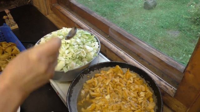 Тушёная капуста с лисичками. Stewed cabbage with chanterelles.