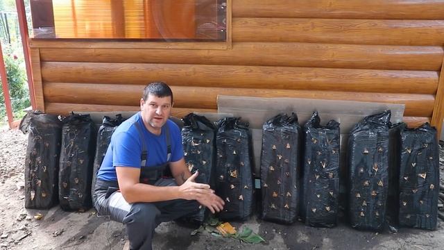 КРОЛИК С ГРИБАМИ. Делаем теплицы смотреть онлайн