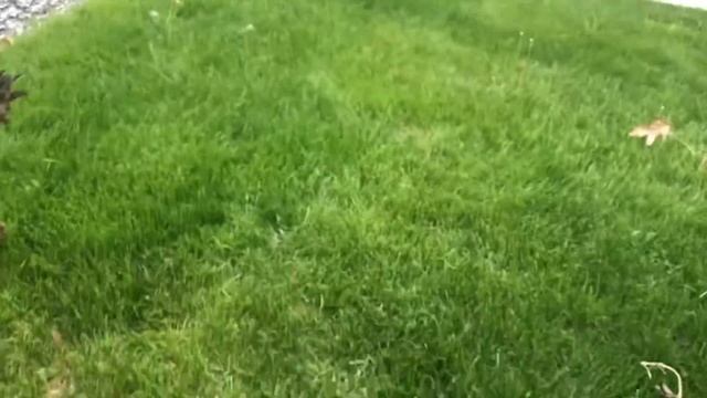 Siding Problems! - Power Washing смотреть онлайн