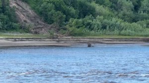 1. В КРЫМ НА МАШИНЕ 2024 // С Севера на Юг России🇷🇺