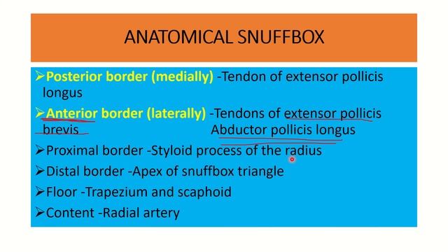 Anatomical snuffbox in details MRCS question solve (CRACK MRCS) смотреть онлайн