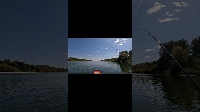 Рыбалка и отдых на верхнем Дону / ТРЕЙЛЕР / #рыбалка #рекадон #поймалотпусти #фишмир #fishmir смотреть онлайн