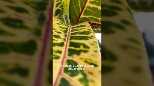 Сколько смысла в этих строчках