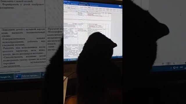 Кошка Милка и планы занятий смотреть онлайн