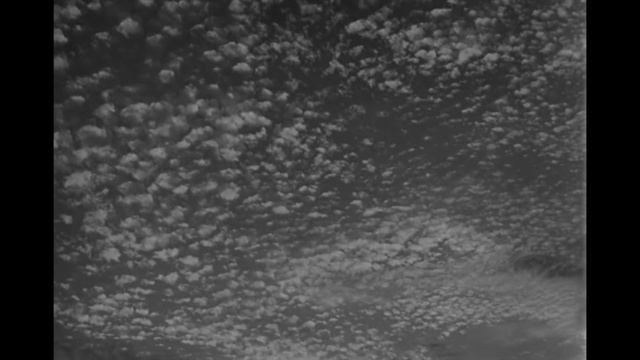 Faye Webster - Half of Me // Tokyo Story смотреть онлайн