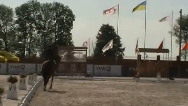 Выездка смотреть онлайн