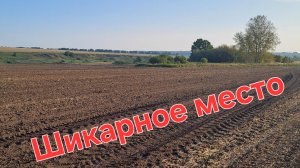 Приехали на новое место и не пожалели. 
Тут ходить и ходить.