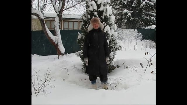 Николай Рубцов " Выпал снег" смотреть онлайн