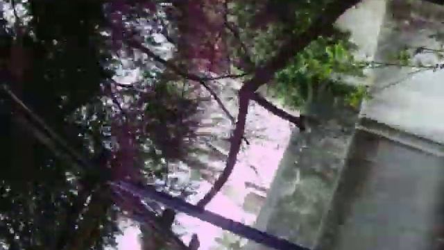 LOS PIBES ASADO смотреть онлайн