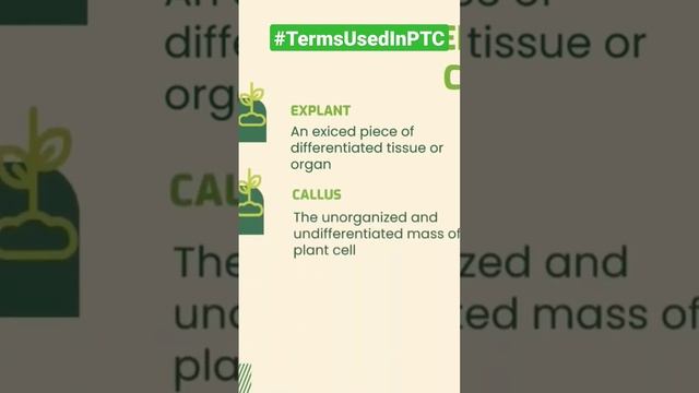 Plant tissue culture explained in Tamil смотреть онлайн
