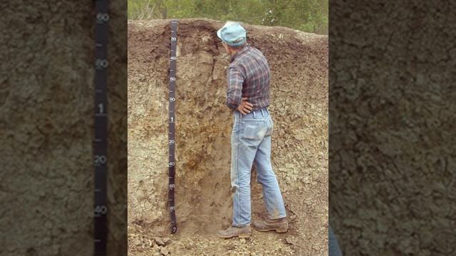 Soil science | Wikipedia audio article смотреть онлайн