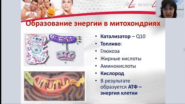 Здоровое сердце и здоровые сосуды. Вебинар Галины Костиной смотреть онлайн