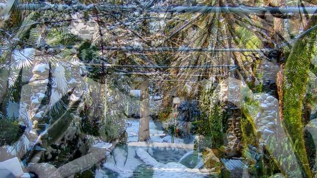 Новый год в Сочи. Пальмы под снегом. Трейлер смотреть онлайн