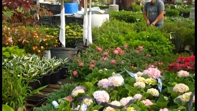 5 25 21 Willoway Dock Video смотреть онлайн