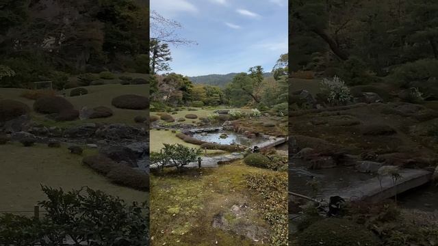 Сад Murin-an, Киото, Япония смотреть онлайн