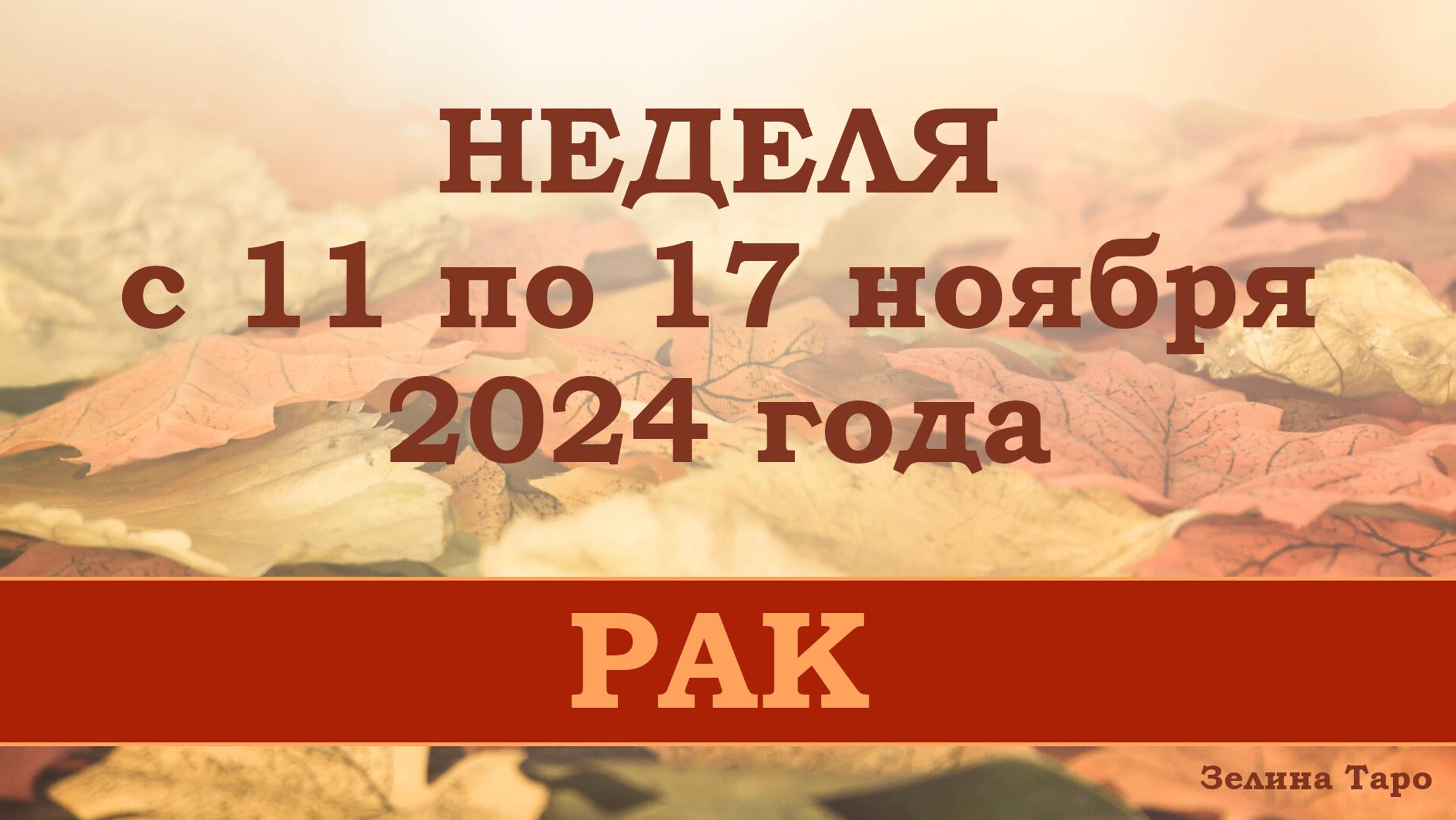 РАК | Таро прогноз на неделю с 11 по 17 ноября 2024 года