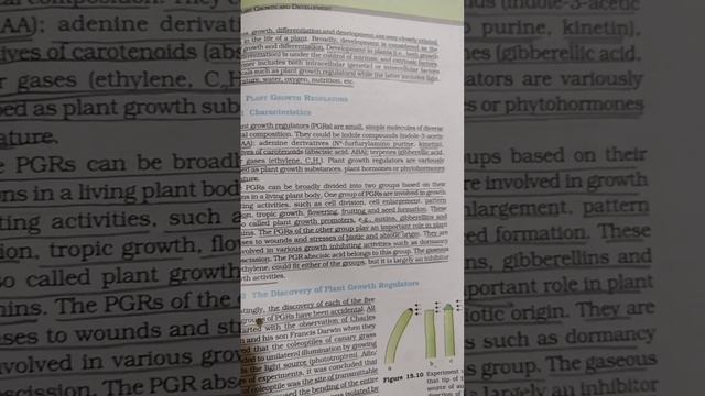 #class12 #neet #plants #hormones смотреть онлайн