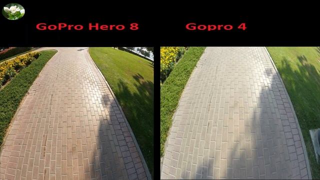 GoPro 8 Vs GoPro 4 Comparison (എല്ലാം തികഞ്ഞ ആക്ഷൻ ക്യാമറ) смотреть онлайн