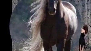 Очень красивый клип с Альбано и Роминой Пауэр