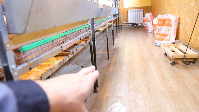 ПТИЧНИК НАШЕЙ МЕЧТЫ. НАШИ ОШИБКИ И РЕШЕНИЯ смотреть онлайн