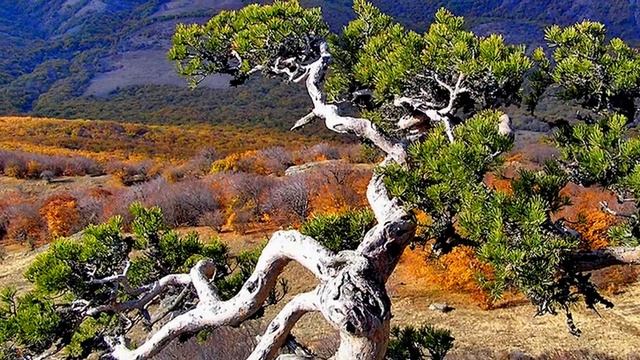 Крым осенью. Большой каньон, Ай-Пе́тринская яйла́, Ялта, Алупка смотреть онлайн