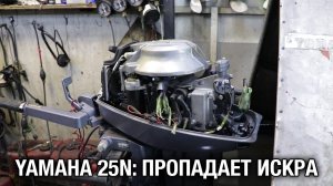На пресной воде работает, а на морской не работает Со слов владельца лодочного мотора YAMAHA 25N