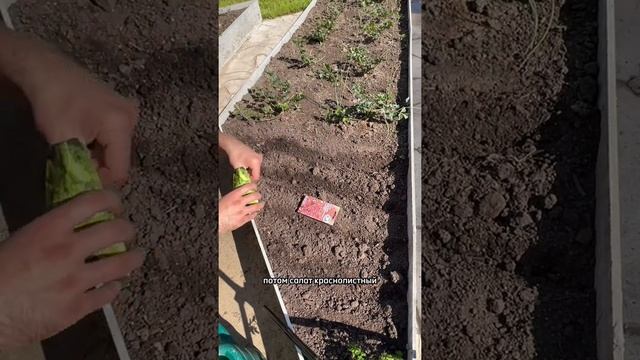 Красивый огород смотреть онлайн
