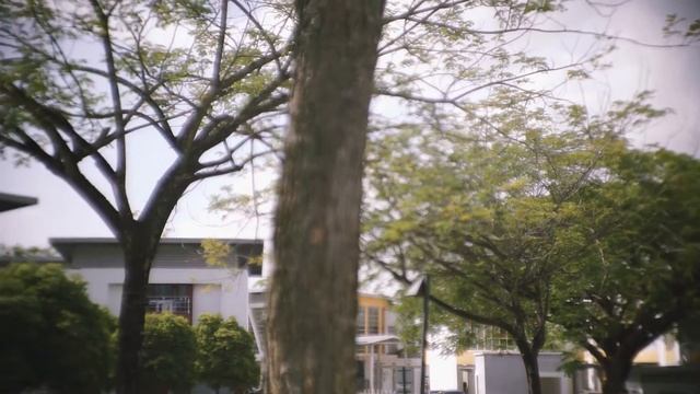 Fujian 35mm F/1.7 Test