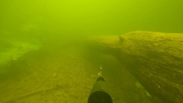 ПОДВОДНАЯ ОХОТА, ТРОФЕЙНЫЕ СУДАКИ! смотреть онлайн