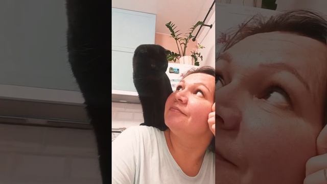 Кошка Милка пришла спросить смотреть онлайн