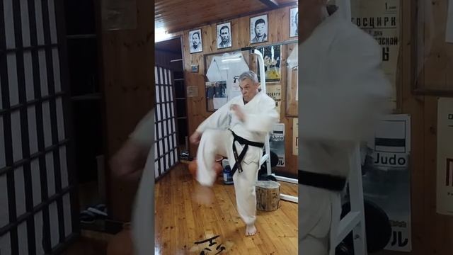 тренировка прямого удара ногой в каратэ мае гери / развитие скоростно - силовых качеств каратиста смотреть онлайн