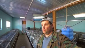 СПАСАЕМ КРОЛИКОВ ОТ СВИРЕПОГО ВРАГА!!