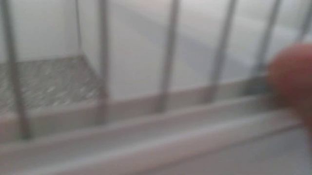 Клетка для птиц. Универсальная. #birds #birdslover #birdsounds