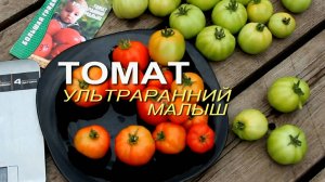 УЛЬТРАРАННИЙ МАЛЫШ! ОБЗОР СОРТОВ ТОМАТОВ! Советы от ЗЕЛЕНОГО ОГОРОДА!