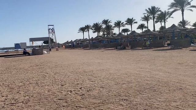 Обзор отеля Sea beach Aqua park resort 4* в Шарм-эль-Шейхе. 07.03.2024 смотреть онлайн