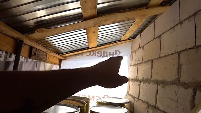 ВКЛАДЫВАЮ ДЕНЬГИ В СОМНИТЕЛЬНОЕ ДЕЛО! СКОЛЬКО ВЕСИТ ИНДЮК В 4 МЕСЯЦА смотреть онлайн