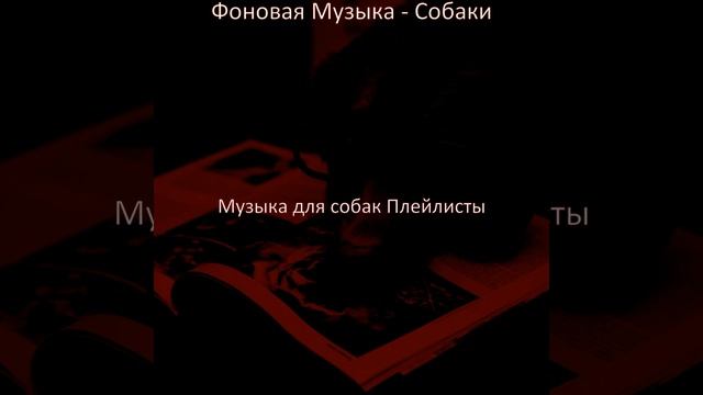 Впечатление (Милые Собаки) смотреть онлайн