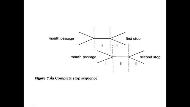 Narrow Transcription: Stop Release Types/Modification смотреть онлайн