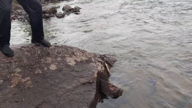 Ловля хариуса в Швеции смотреть онлайн