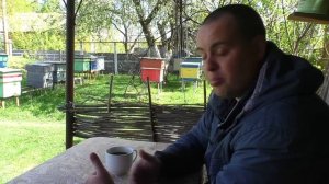 Как подготовить пчёл к акации? Чтоб не зароились на кануне акации.