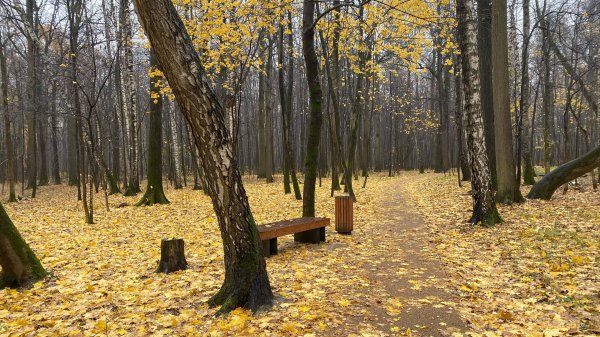 МОСКВА 2024. ЧАСТЬ 3.