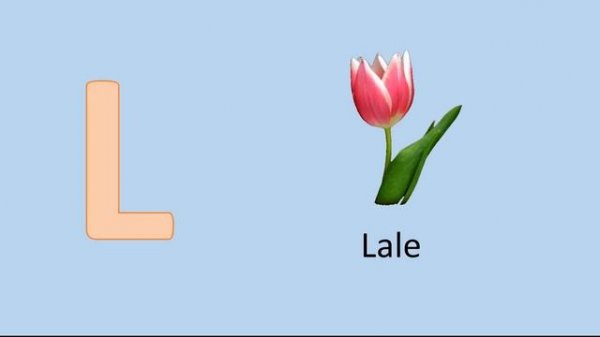 Türkçe alfabe | Turk alifbosi | Турецкий Алфавит