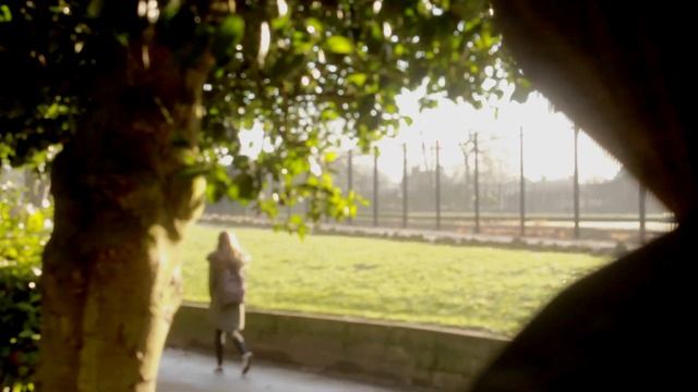 The murder of the Welsh woman смотреть онлайн