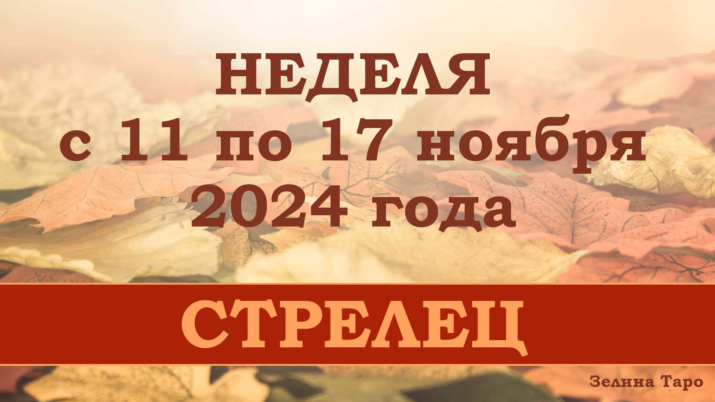 СТРЕЛЕЦ | Таро прогноз на неделю с 11 по 17 ноября 2024 года