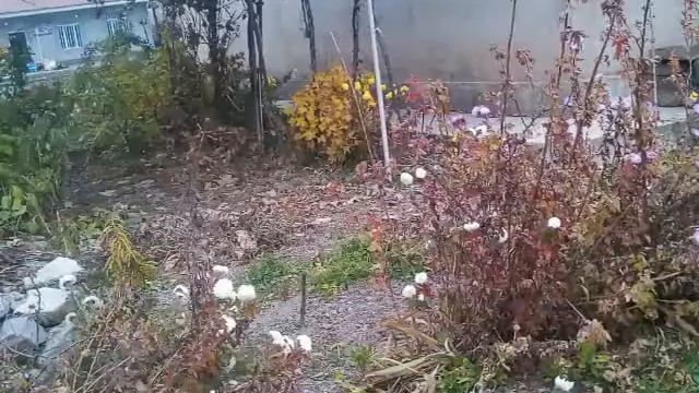 Autumn in Armenia(Nor Hachn) смотреть онлайн