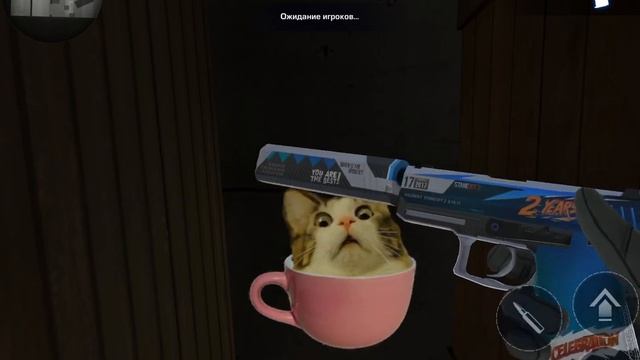 Секретный осмотр USP! Проверка Standoff 2! смотреть онлайн